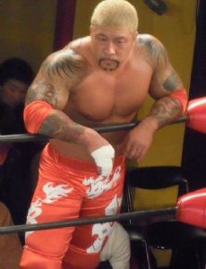 The Bodyguard (wrestler)