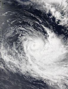 Cyclone Cody