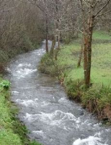 Turía (river)