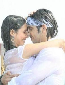 Isha Sharvani and Zayed Khan