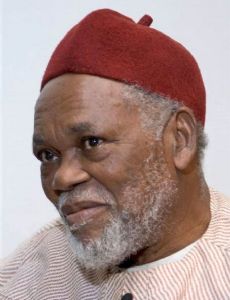 Uche Okeke