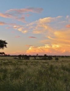 ǀXam and ǂKhomani heartland