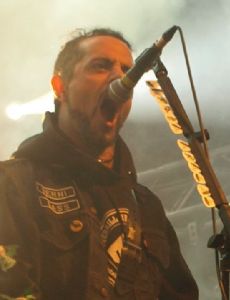 D.D. Verni