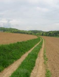 Trail