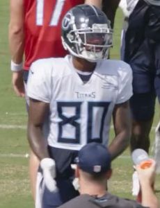 Terry Godwin