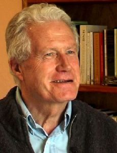 Jan de Vos (historian)