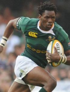 Jongi Nokwe