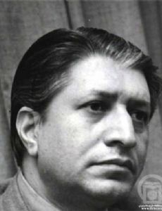 Mohammad Reza Ameli Tehrani