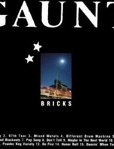 Bricks and Blackouts