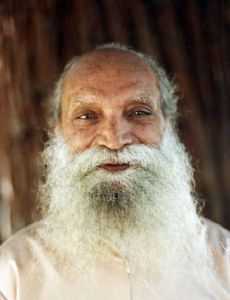 Dhyanyogi Madhusudandas