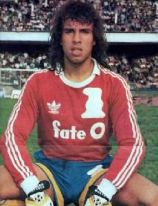 Carlos Fernando Navarro Montoya