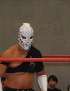 Hijo de Rey Misterio