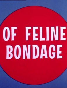 Of Feline Bondage