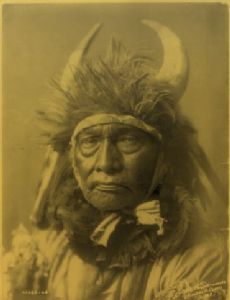 Bull Chief