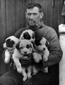 Tom Crean (explorer)