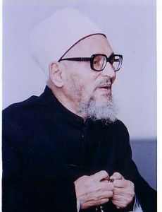 Abdel-Halim Mahmoud