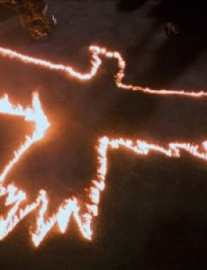 The Crow
