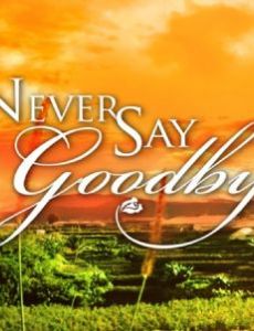 Never Say Goodbye
