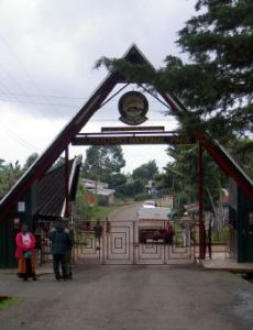 Kilimanjaro National Park