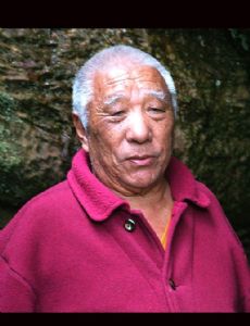 Khenpo Tsultrim Gyamtso Rinpoche