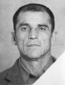 Musa Mamut