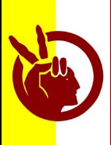 Wounded Knee incident