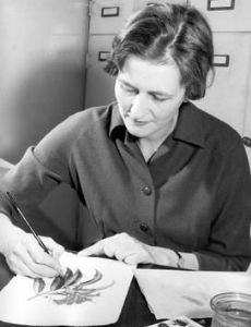 Margaret Stones