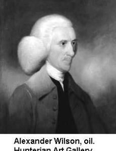 Alexander Wilson (astronomer)