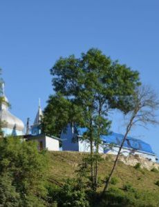 Murovani Kurylivtsi