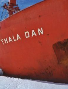 Thala Dan