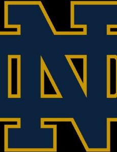 2001 Notre Dame Fighting Irish football team