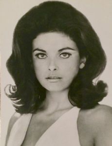 Donna Theodore