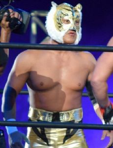 Tiger Mask IV