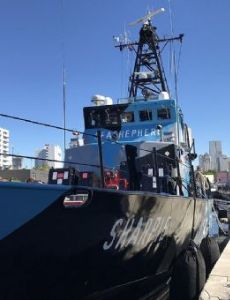 MV Sharpie