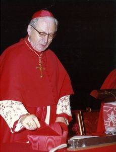 Bernardus Johannes Alfrink