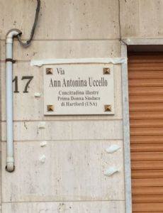 Ann Uccello