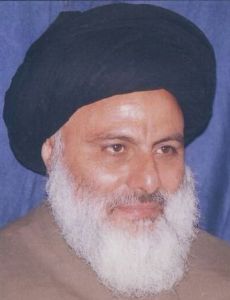 Mohammad Ali Tabatabaei Hassani