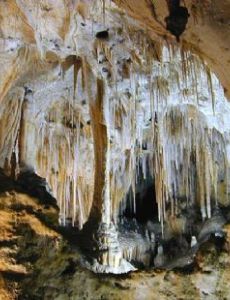 Carlsbad Caverns National Park