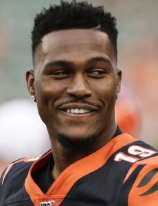 Auden Tate