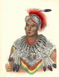 Wapello (chief)