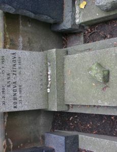 Alfred Kohn