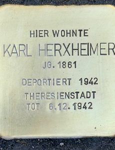 Karl Herxheimer