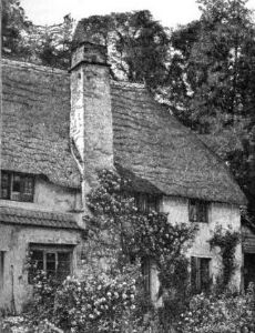 William Robinson (gardener)