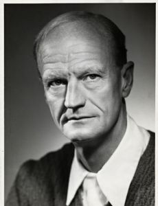 Johan Borgen
