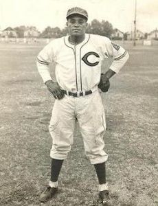 Parnell Woods
