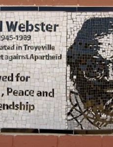 David Webster (anthropologist)
