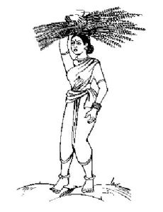 C. K. Nanu