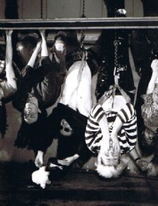 Pigface