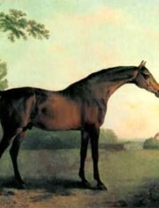 John Boultbee (artist)