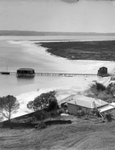 Ngāwini Yates